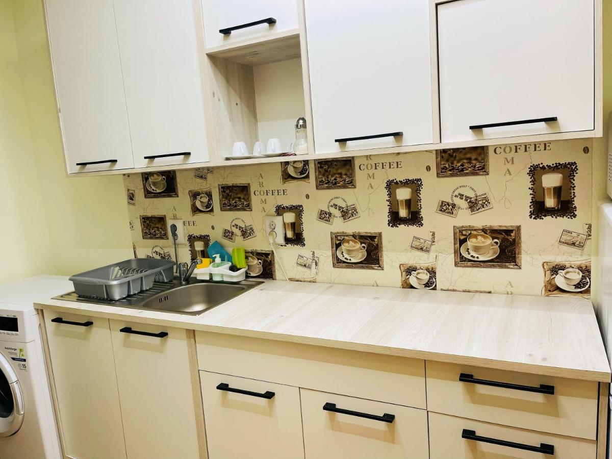 Private Apartment In The City Centre. Oradea Dış mekan fotoğraf